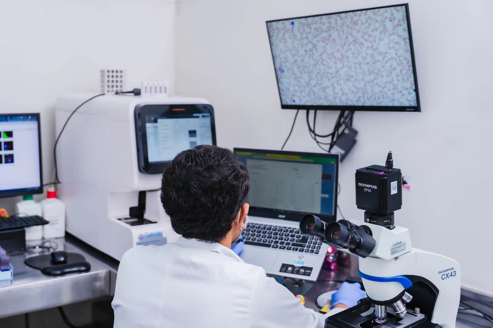 Cómo entender tus resultados de laboratorio (sin complicarte)