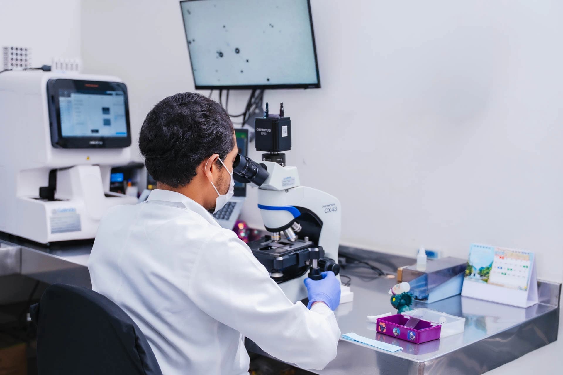 Toma de muestra a domicilio: cómo funciona y qué esperar